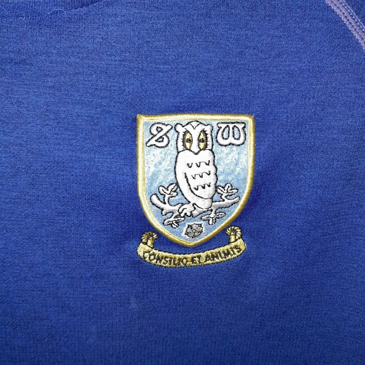 Sheffield Wednesday player worn football training shirt/ jersey. Medium mens - Image 3